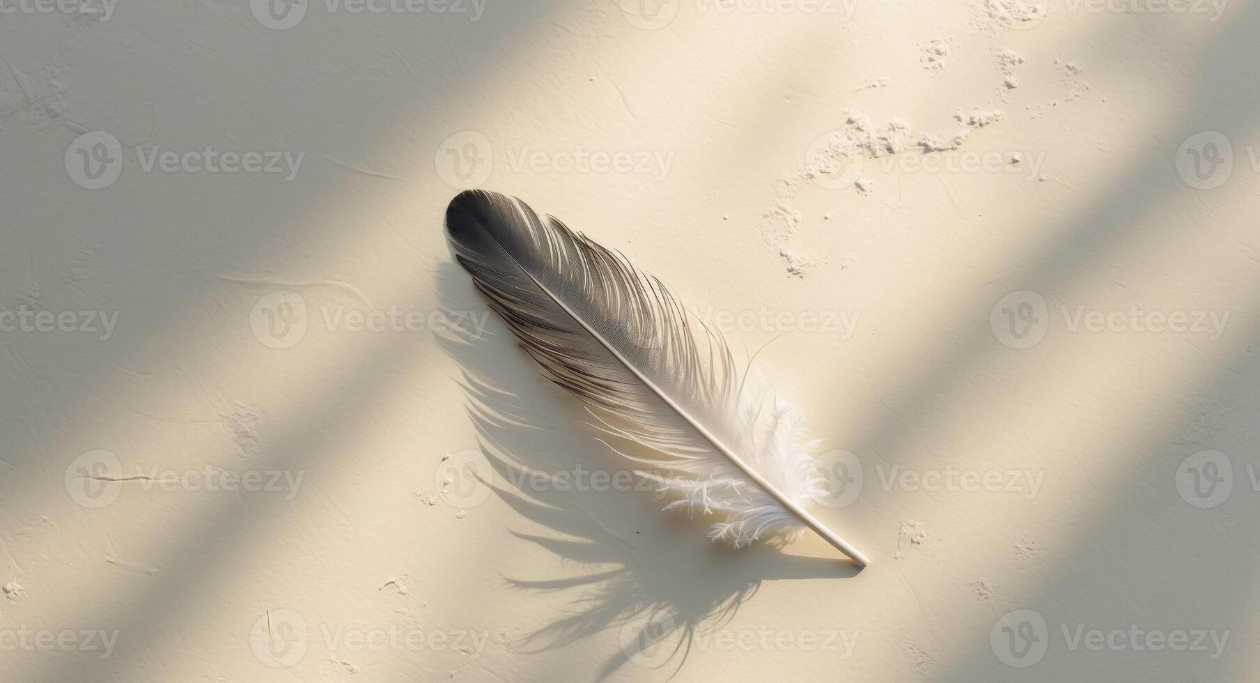 A feather on a white surface with shadows photo