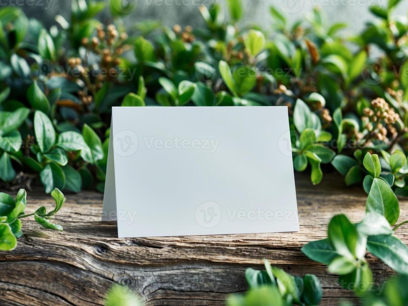 Blank greeting card with green foliage and weathered wood background, nature theme. photo