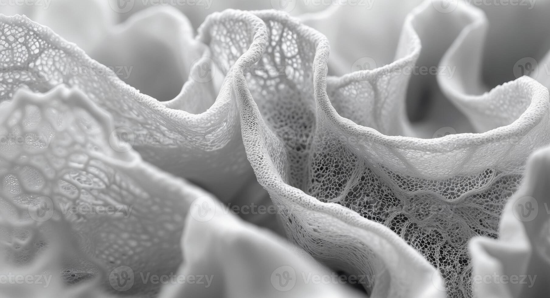 A close up of a white lace pattern photo