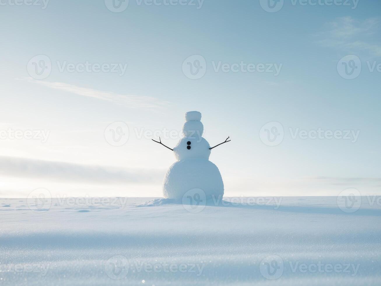 A snowman standing in the middle of a field photo