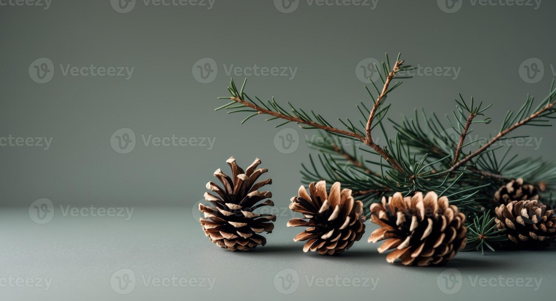 Pine cones and fir branches on a gray background photo
