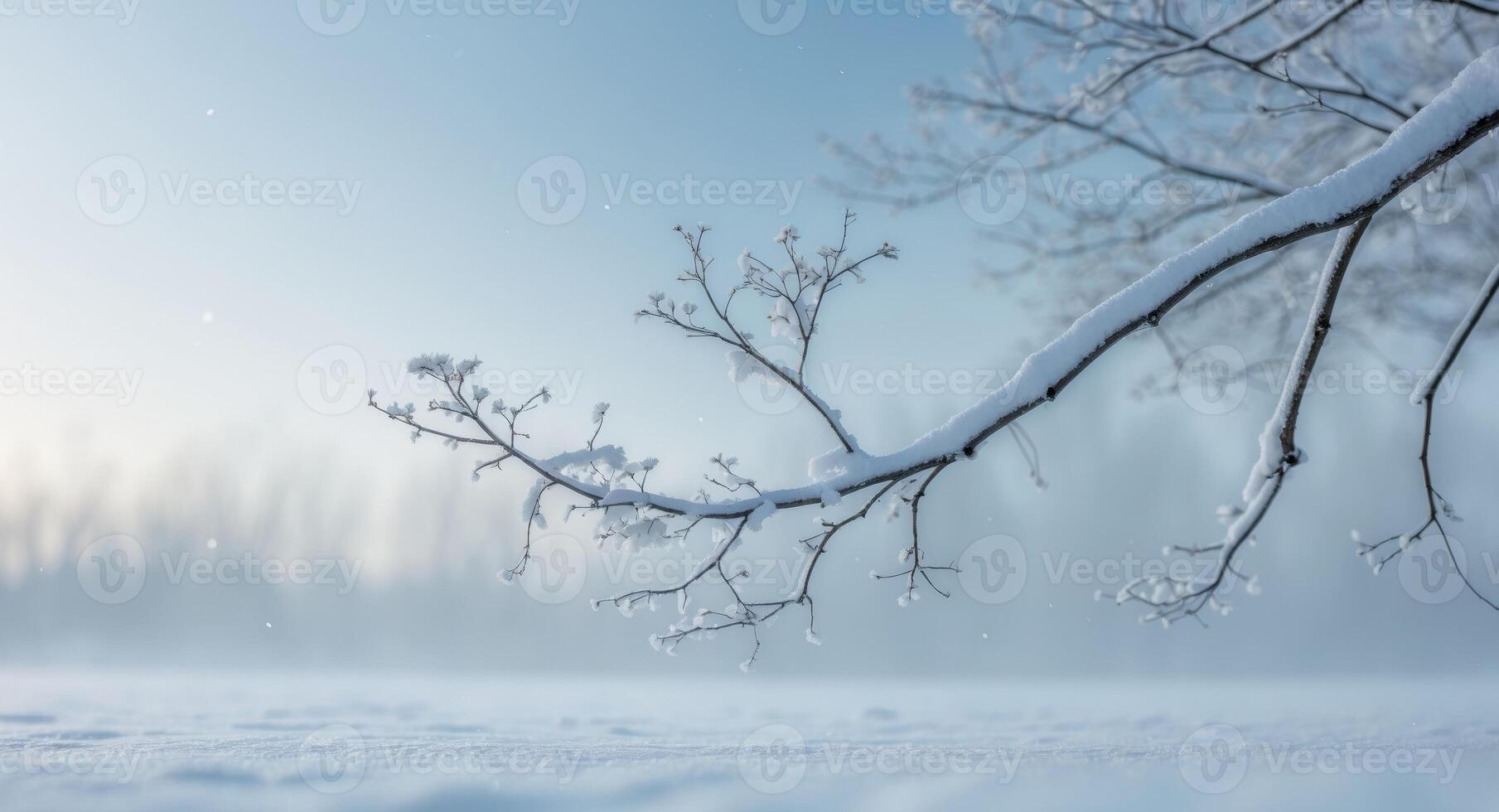 Winter landscape with snow covered branches and trees photo