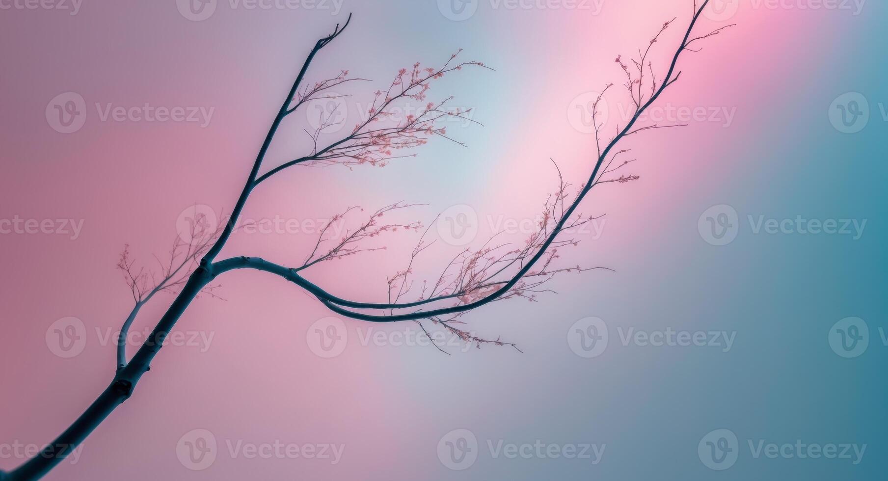 A tree branch with no leaves against a pink and blue sky photo