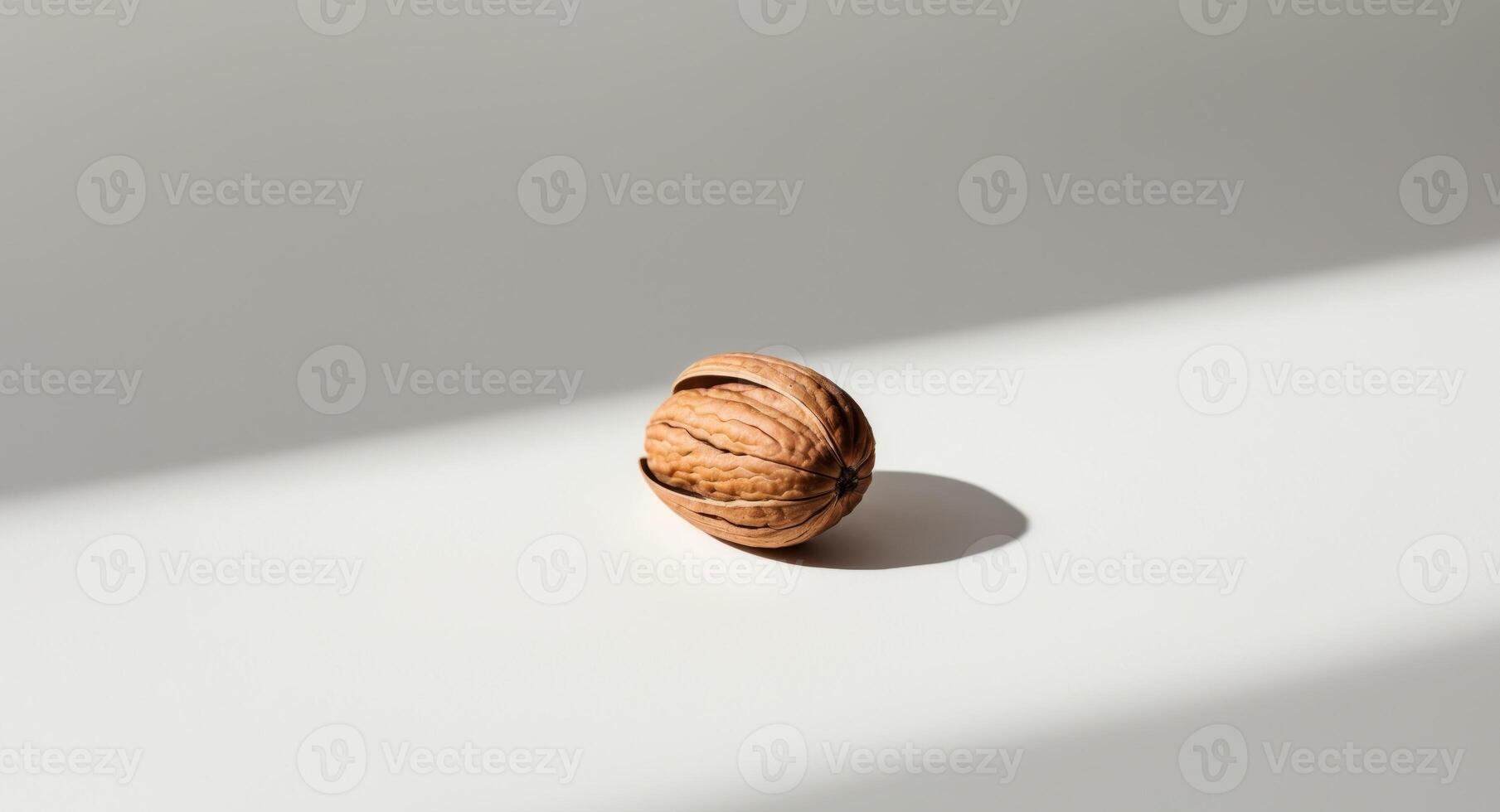 Walnut on white surface with shadow photo