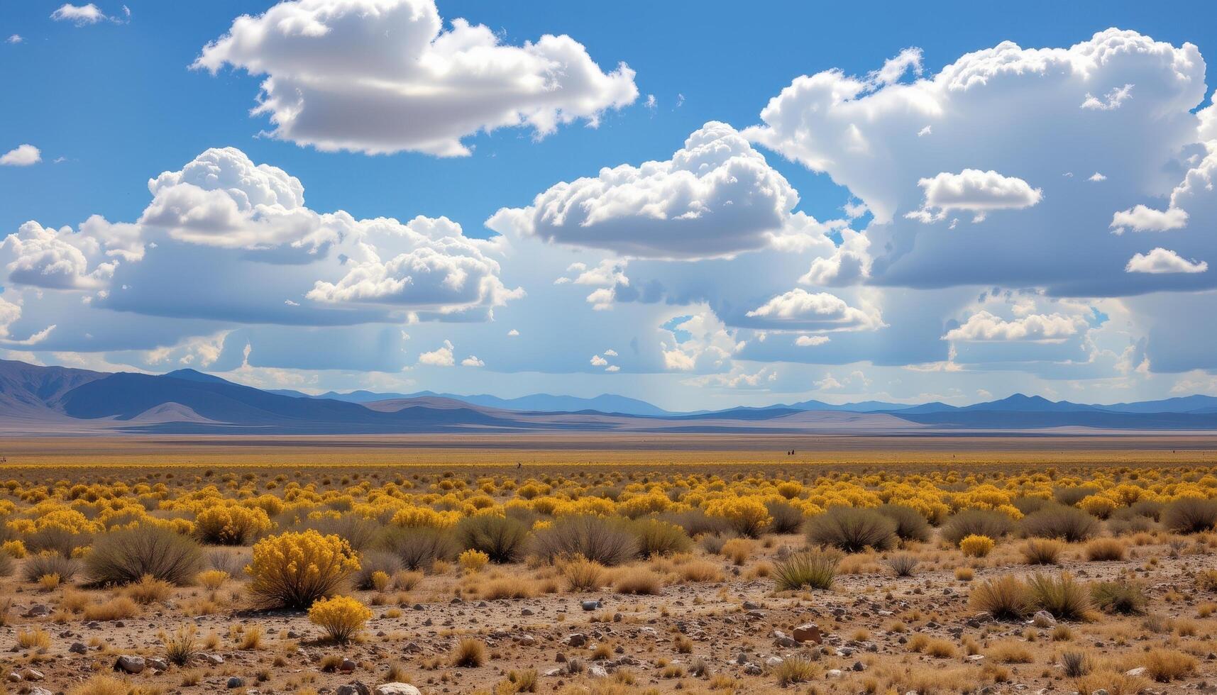 a wide steppe where the sky and land seem to stretch endlessly together. photo