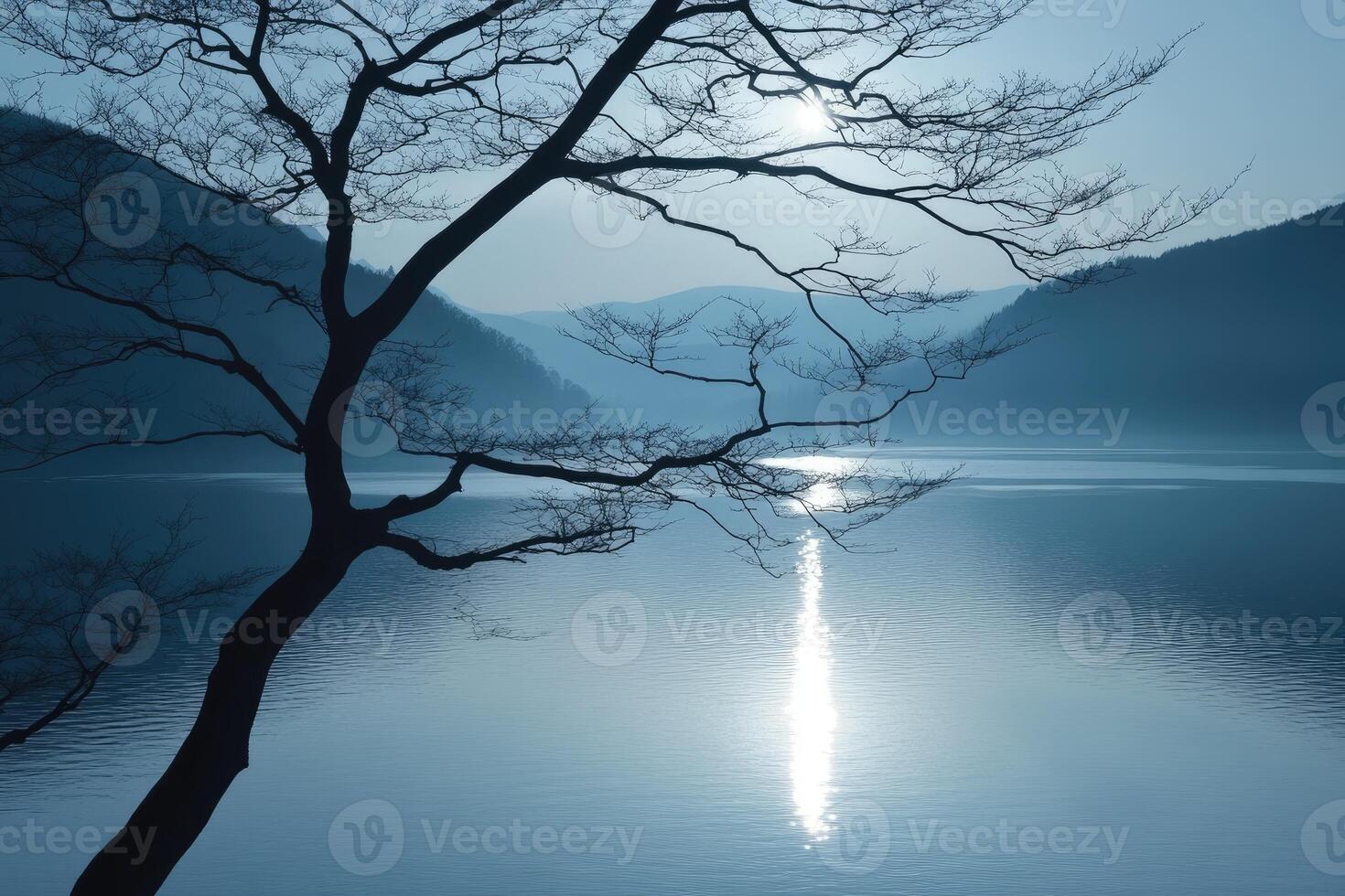 A tree is standing in front of a lake photo