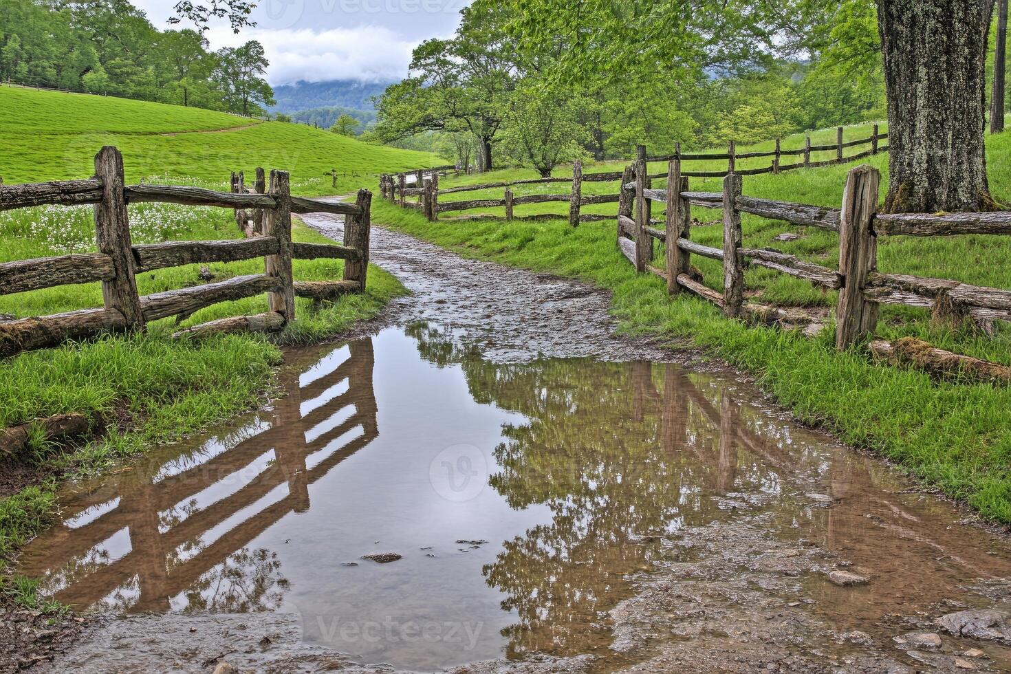 A muddy path leads to a wooden fence and a green field photo