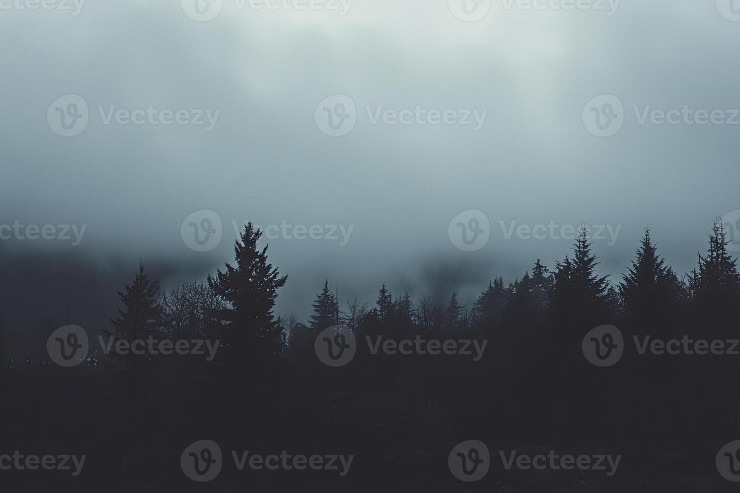Dark forest with trees and fog photo