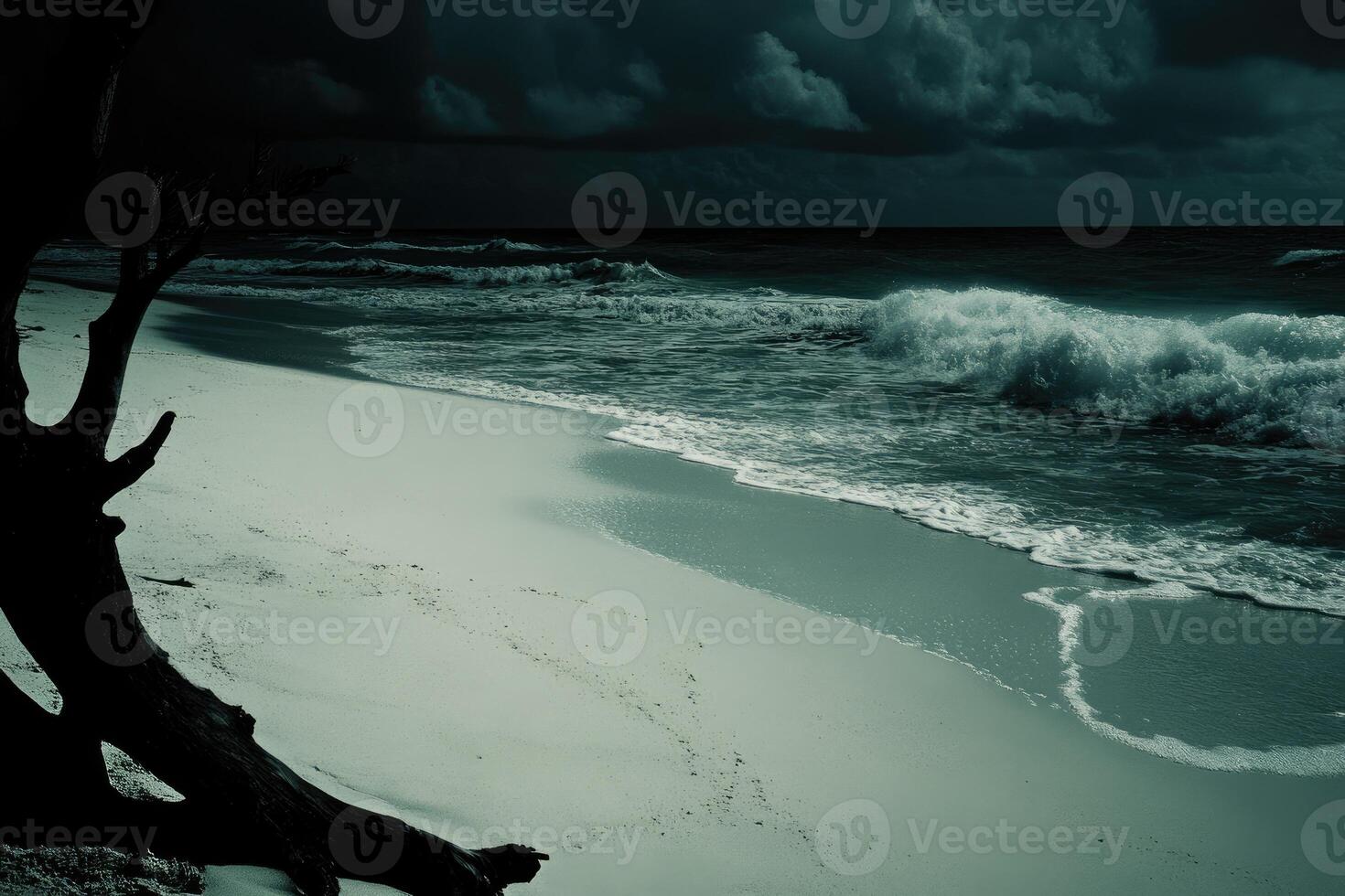 A tree on the beach photo