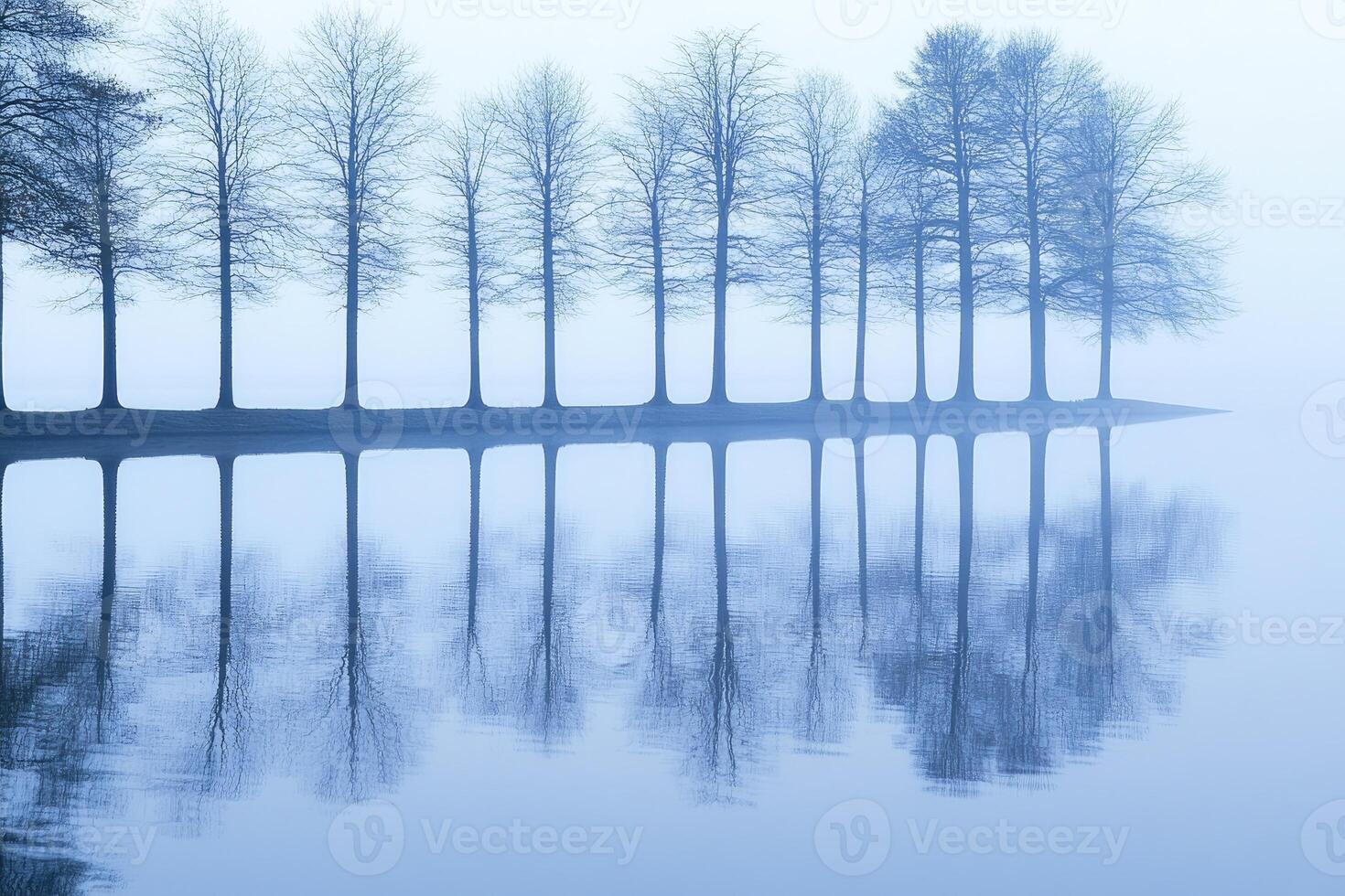 A row of trees in the fog on a lake photo
