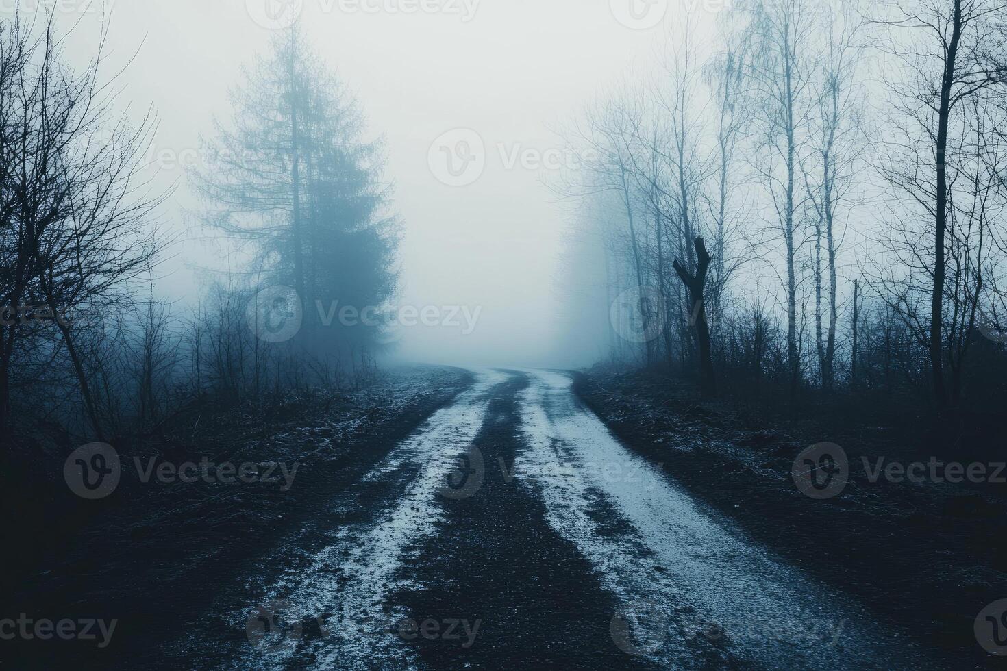 A dark road in the fog with trees and trees photo
