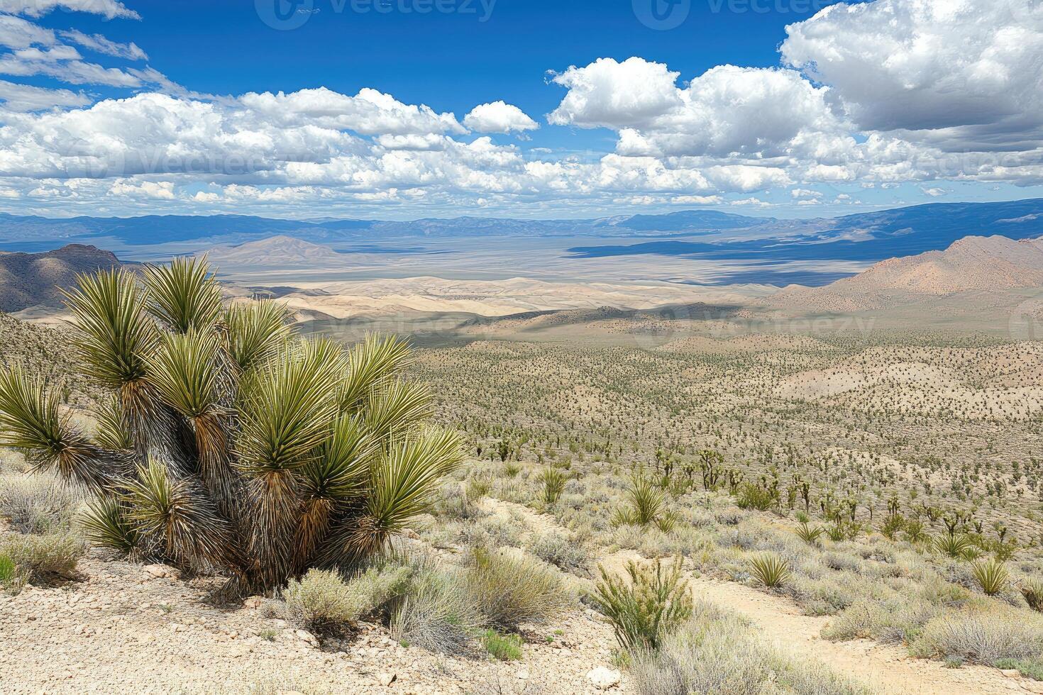 A desert landscape with a mountain in the background photo