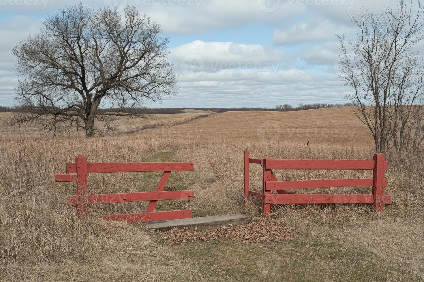 A red gate in a field with a tree in the background photo