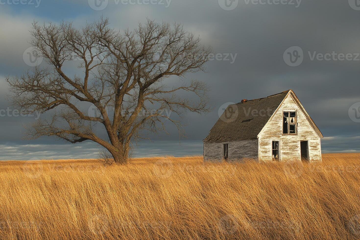 Weathered farmhouse stands alone in a field of tall grass under a dramatic sky, beside a leafless tree photo
