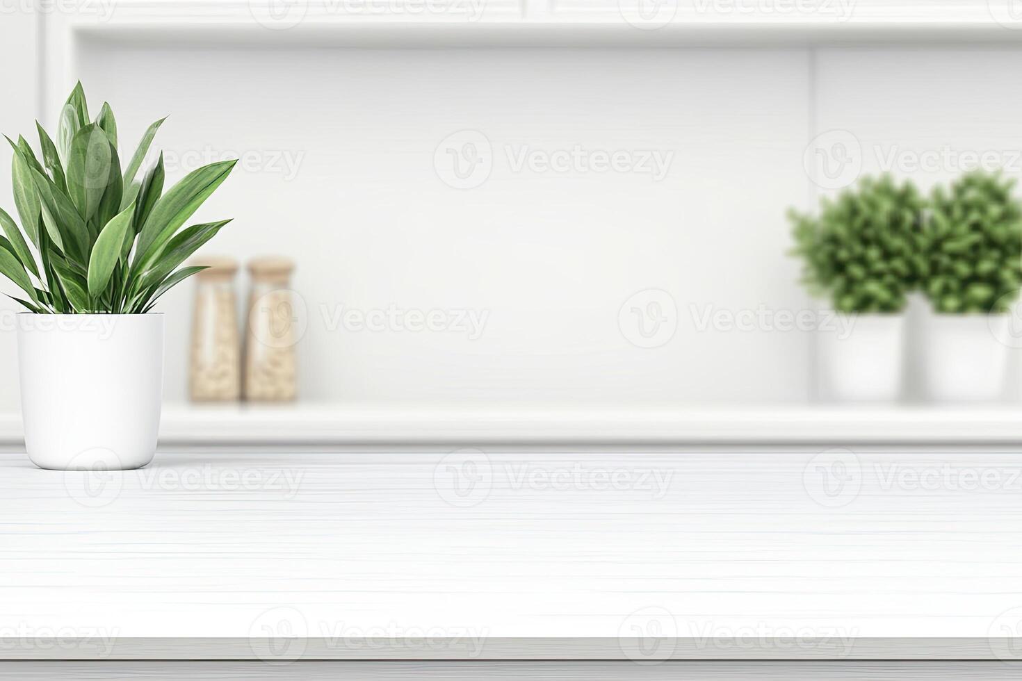 White kitchen counter with potted plant and white cabinets photo