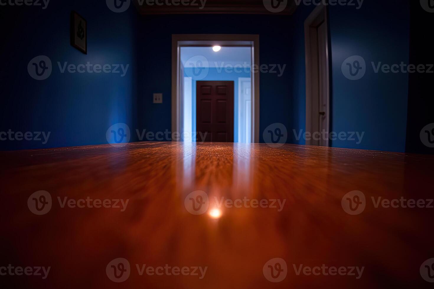 A wooden floor in a dark room with a door photo