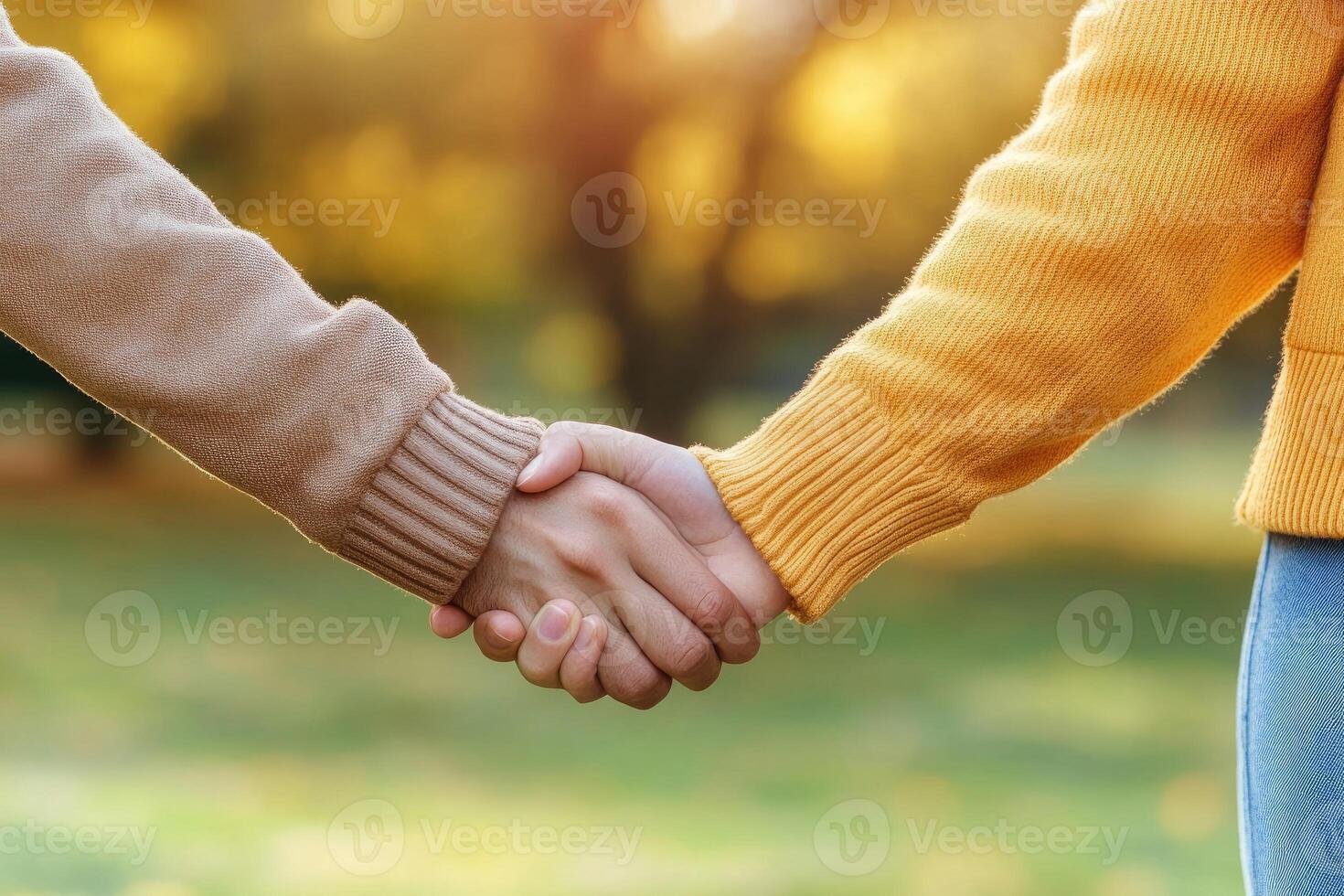 Couple holding hands in autumn park photo