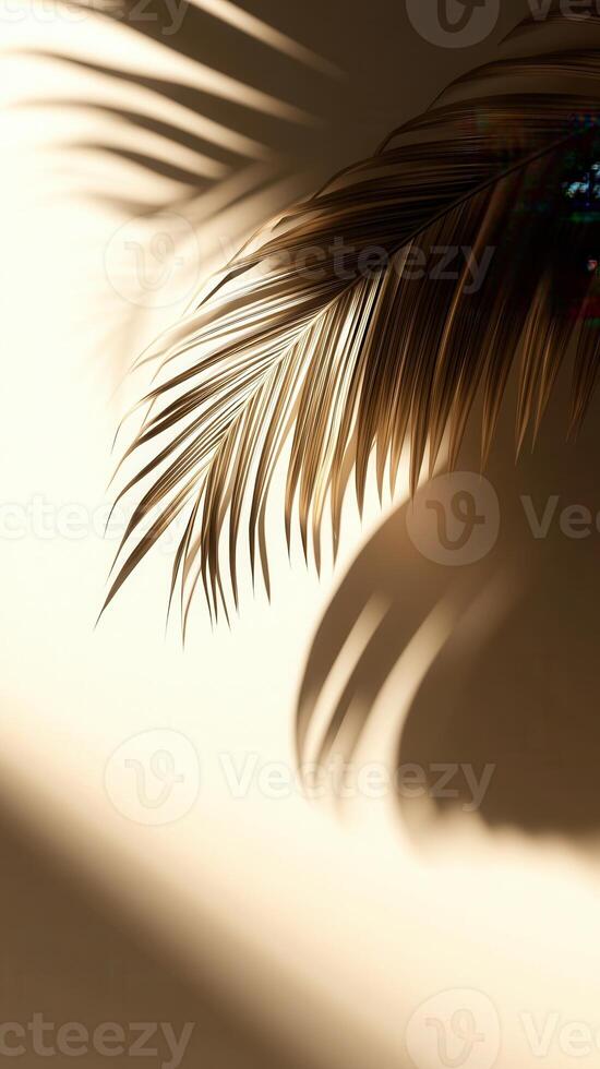 close-up of a dried palm leaf against a light background. The leaf has a golden hue and casts a soft shadow on the surface photo