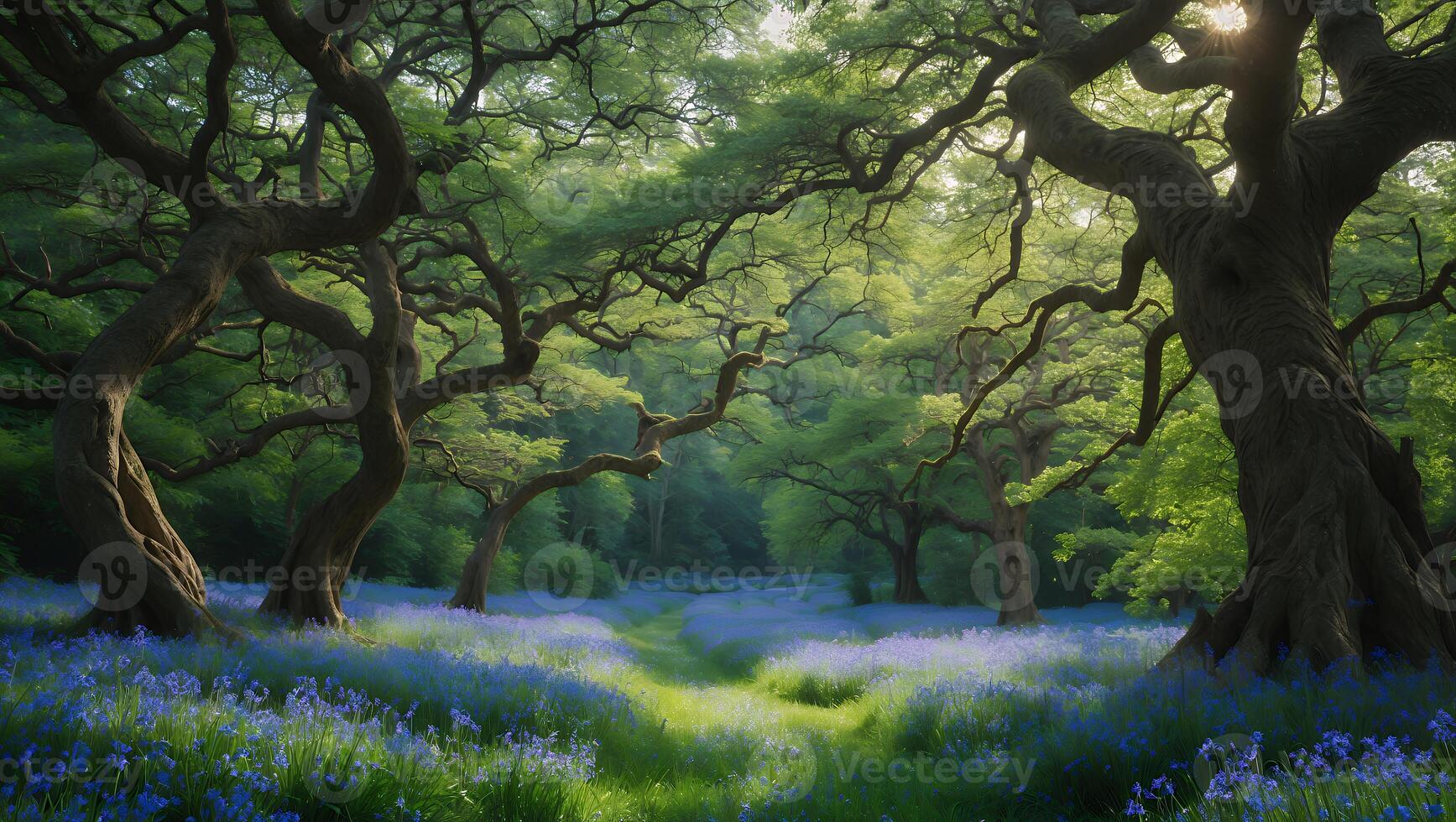 Enchanted Forest Path with Bluebells and Sunlight Through Trees photo