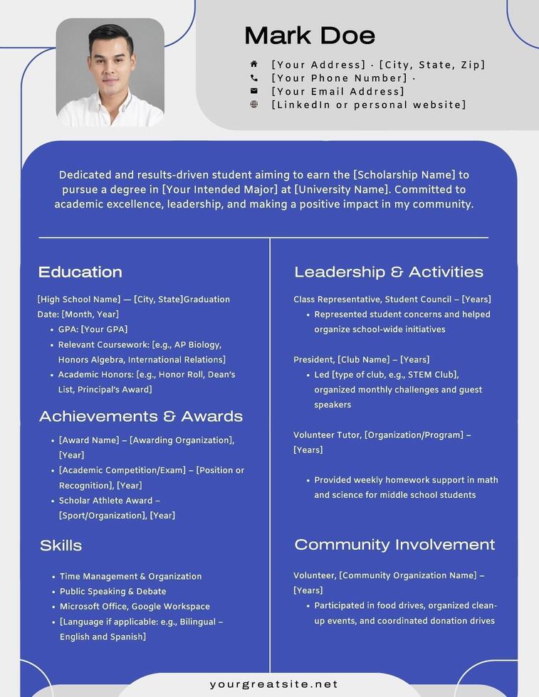 Blue Grey Geometric Round Line Scholarship Resume template