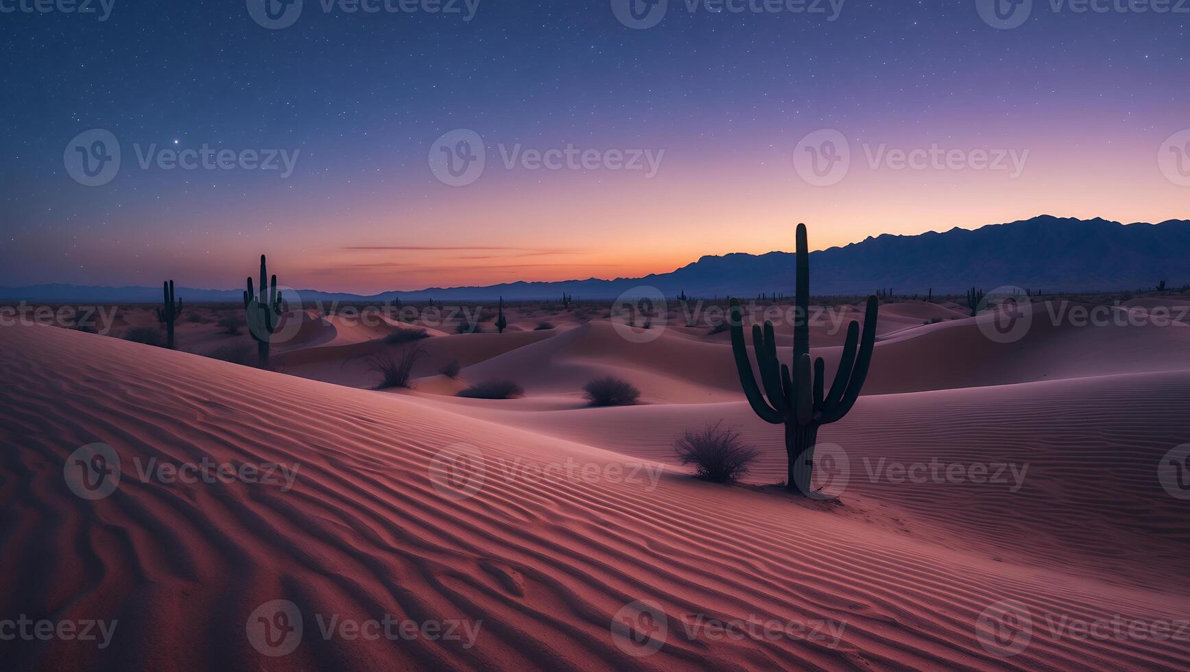 Cactus in Desert Sand Dunes Under Starry Night Sky Landscape photo