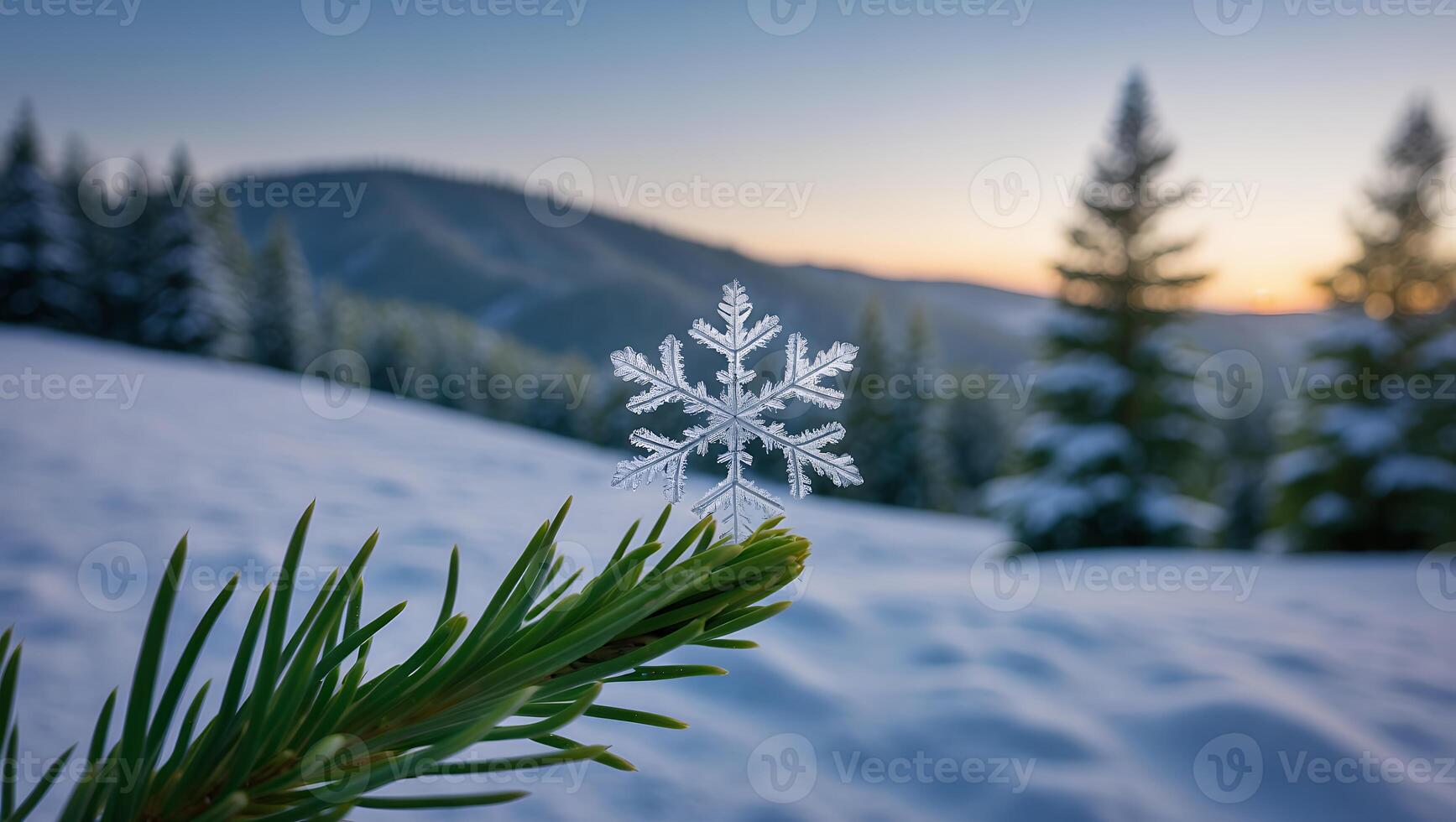 Snowflake on Pine Branch in Winter Landscape at Sunset Scenery photo