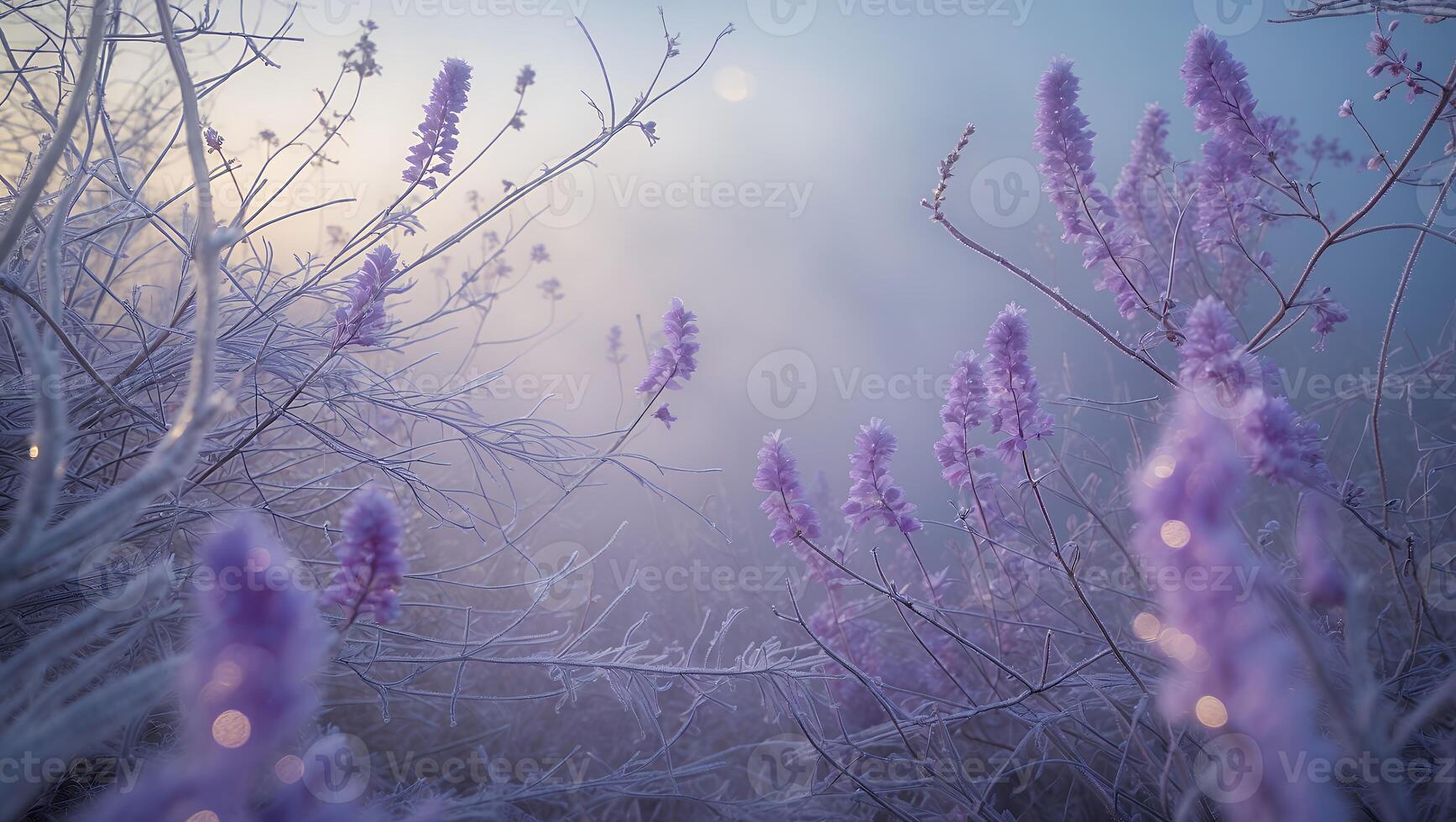 Lavender Flowers Blooming with Frost on Branches in Morning Mist photo