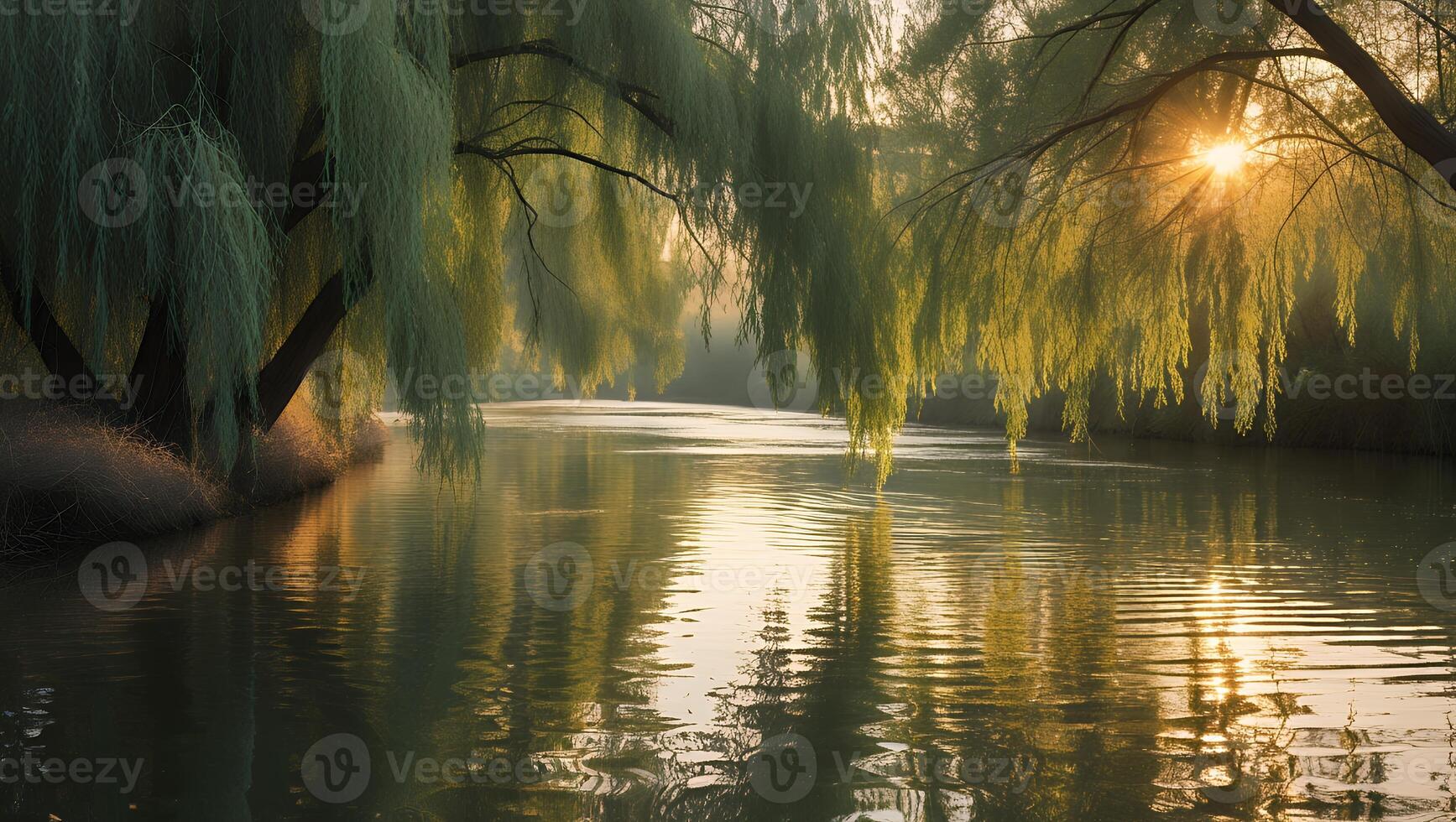 Willow Trees Overhang Gentle River at Sunrise Creating Golden Reflections photo