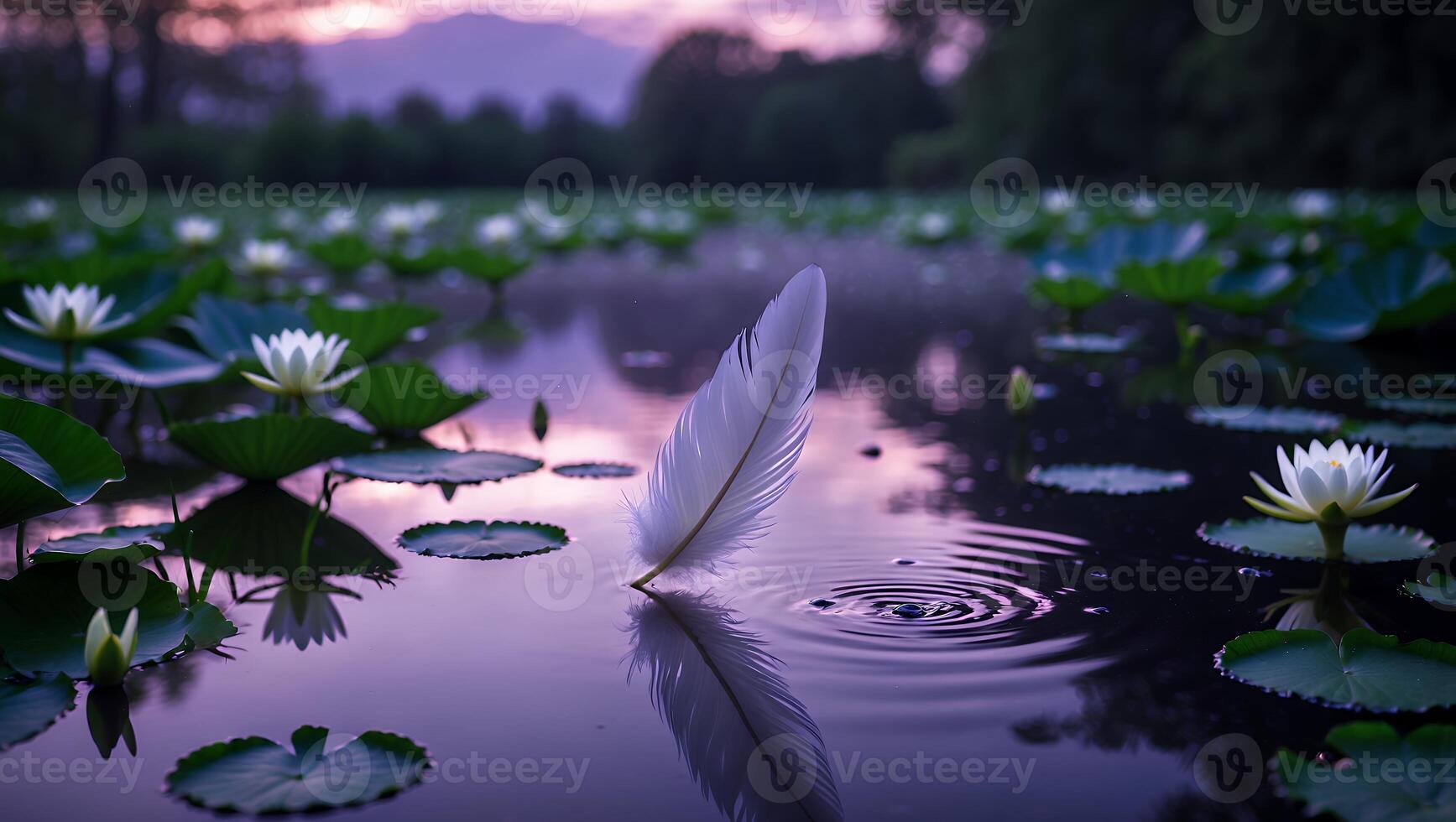 Feather Floating on Calm Lake with Lily Pads and Sunset photo