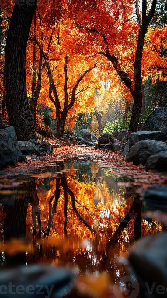 Beautiful autumn landscape with vibrant orange foliage reflecting in calm water near serene pathway photo