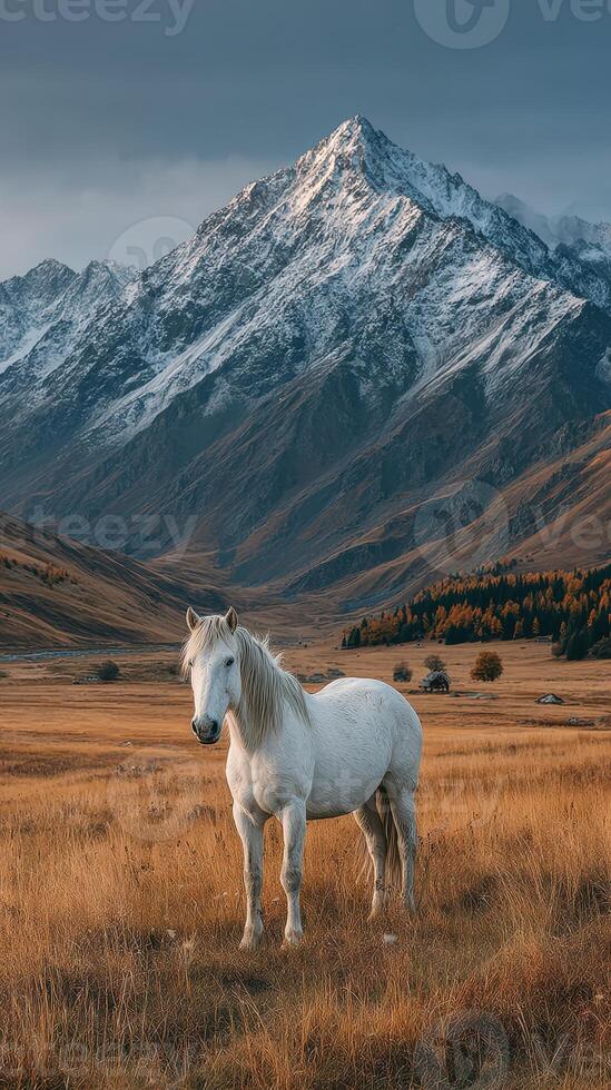 Majestic white horse standing in golden grassland against towering mountains at dusk photo