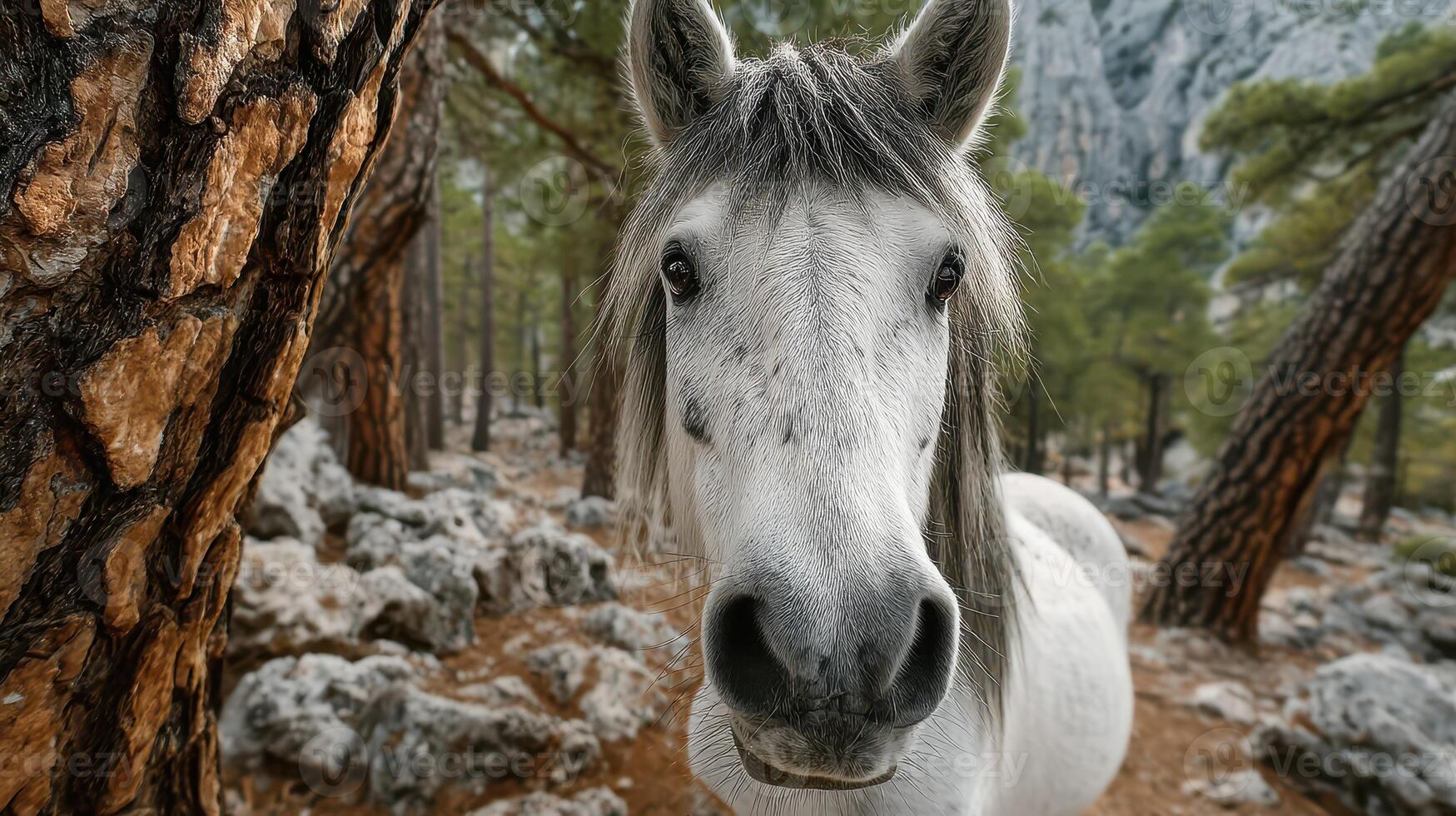 Majestic white horse gazes curiously through trees in a serene forest setting during daylight hours photo
