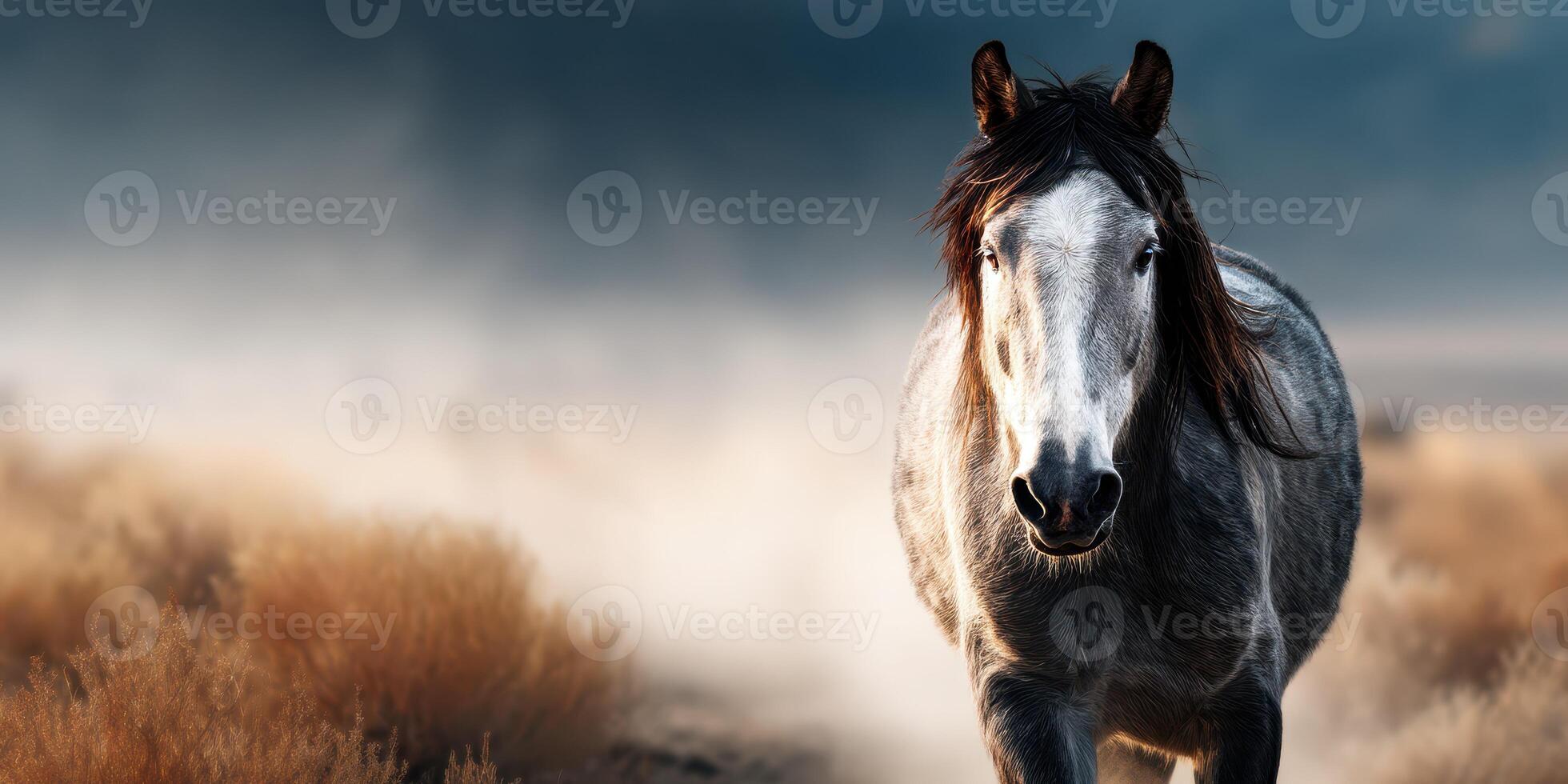 Majestic grey horse galloping through fields at dawn in an open landscape during autumn photo