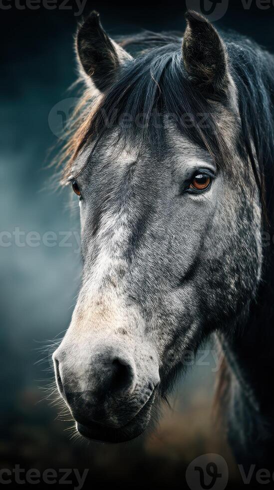 Majestic gray horse with expressive eyes in a misty pasture during early morning light photo