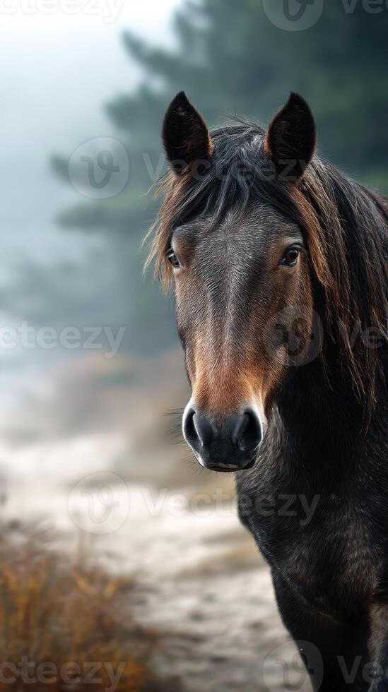 Majestic horse stands calmly in a misty forest setting during early morning light in a serene natural landscape photo