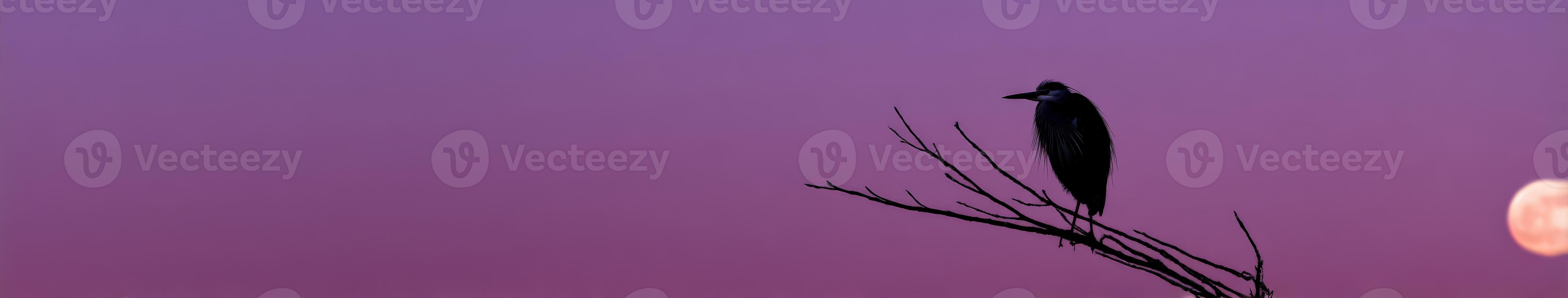 Heron resting on a branch under the glowing moon at dusk photo