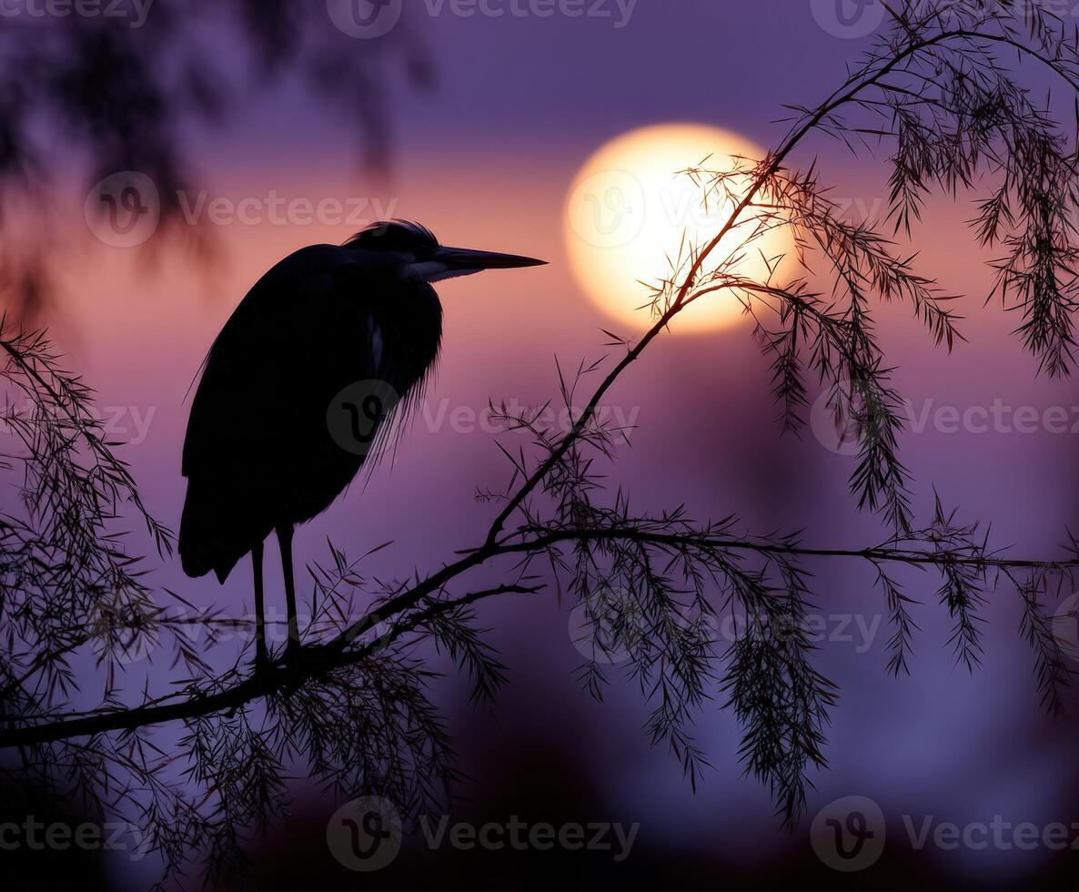 Majestic heron silhouettes against a vibrant sunset near calm waters photo