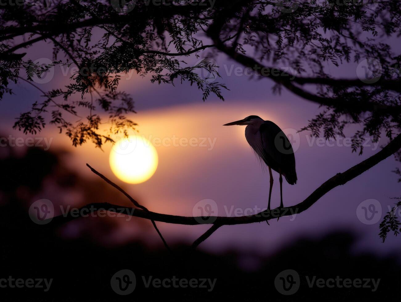 Bird watches sunset from tree branch in tranquil setting near water photo