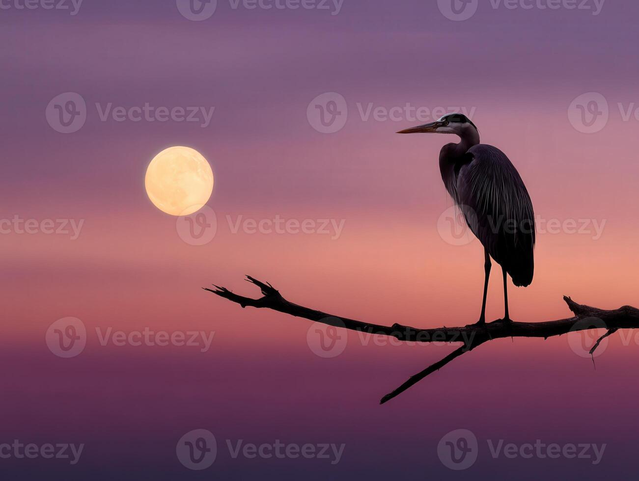 Heron perched on branch under glowing moon at twilight photo