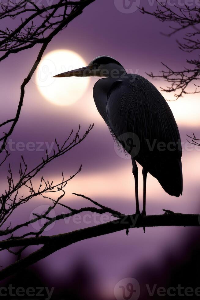 Great blue heron silhouetted against a stunning sunset in nature photo