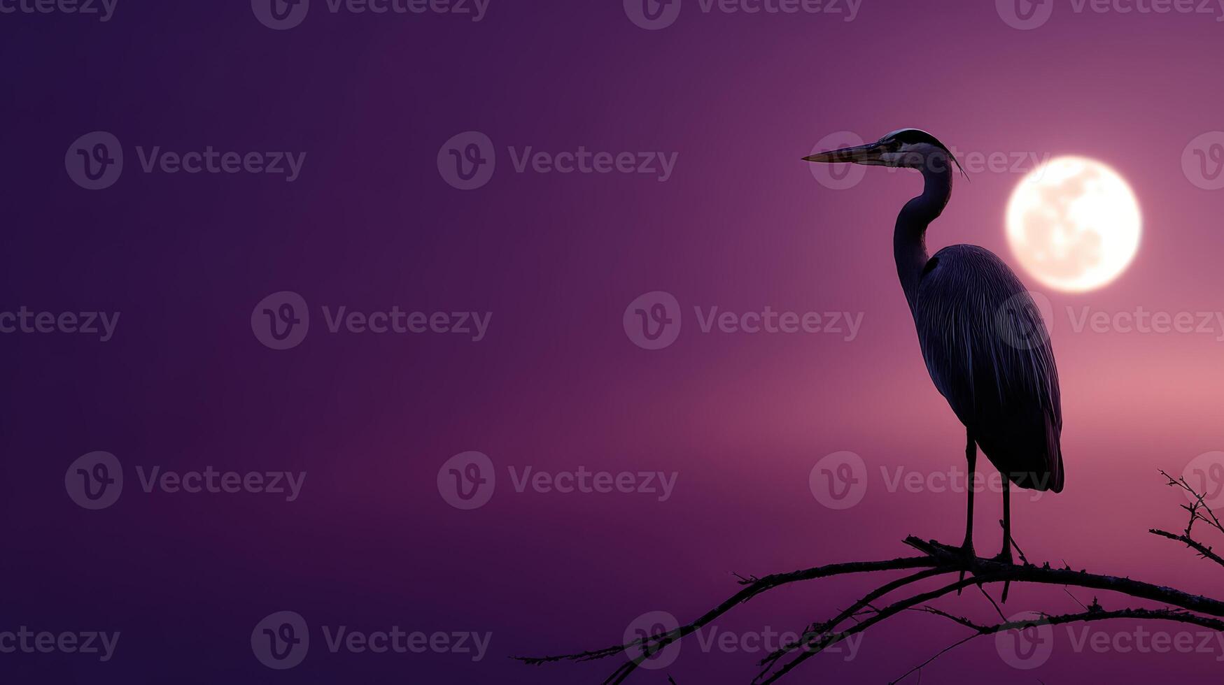 Majestic heron perched near the moonlit lake at dusk photo