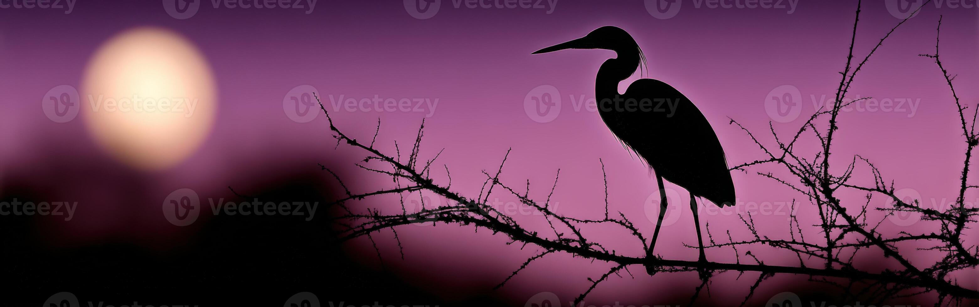 Silhouette of a heron perched on a branch during twilight hours photo