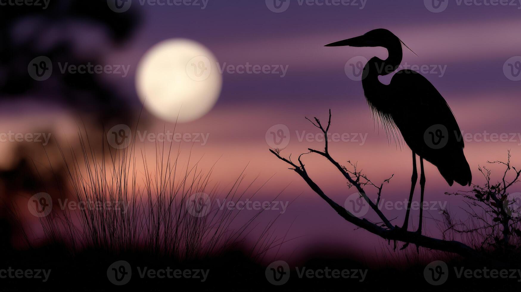 Great blue heron standing on a branch against a moonlit sky at dusk photo