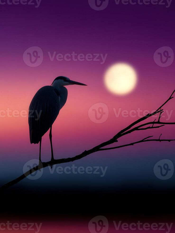 Heron perched on a branch against a vibrant twilight sky with full moon photo