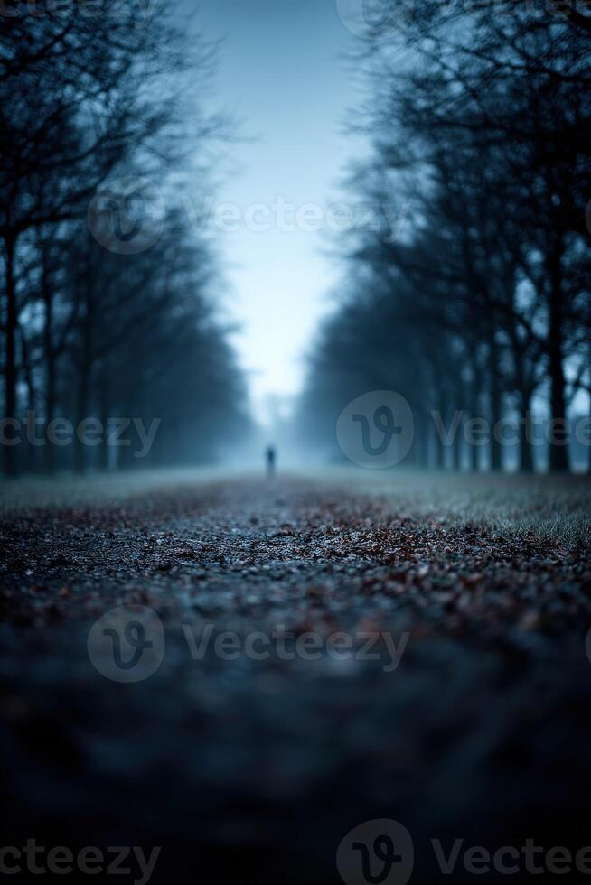 Misty pathway under trees with solitary figure at dusk photo