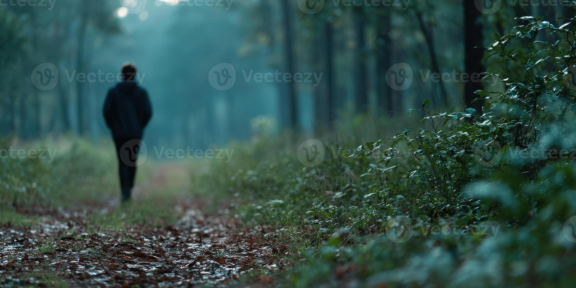 Man walking alone on a misty forest path surrounded by greenery photo
