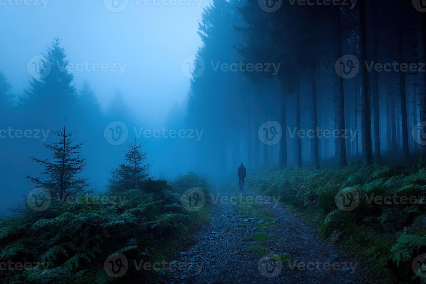Walking alone in a misty forest during early morning hours photo