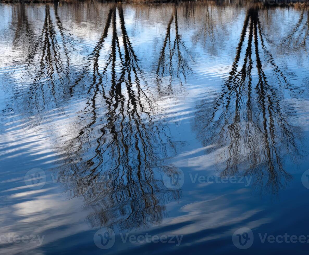 Trees and sky reflect in calm lake during sunny weather photo