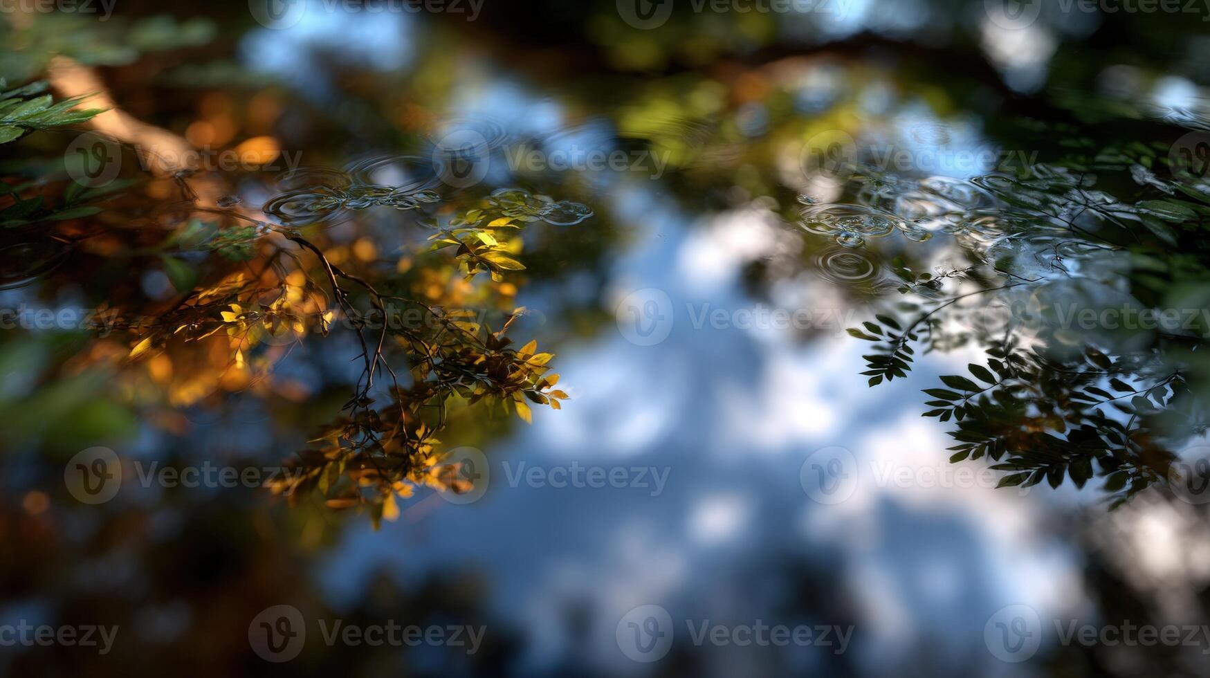 Trees overhanging water reflecting sky with ripples photo