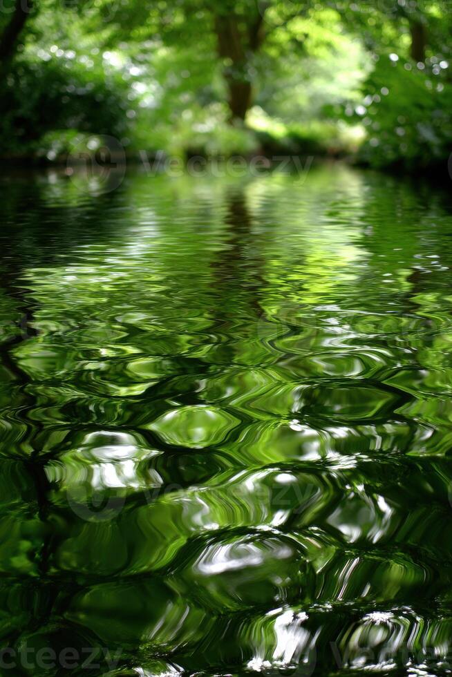 Lush foliage reflects in rippling stream in Springtime photo